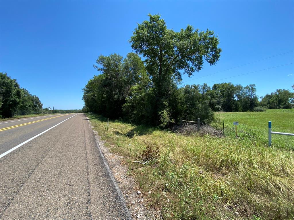 Hwy 7, Marquez, Texas image 15