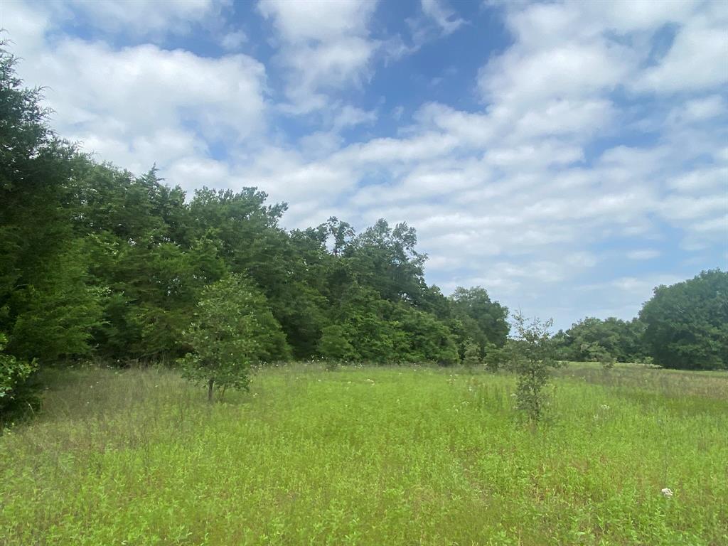 Hwy 7, Marquez, Texas image 13