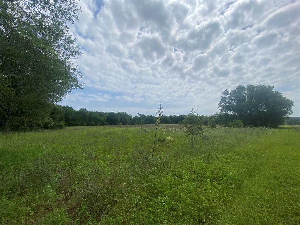 Hwy 7, Marquez, Texas image 8