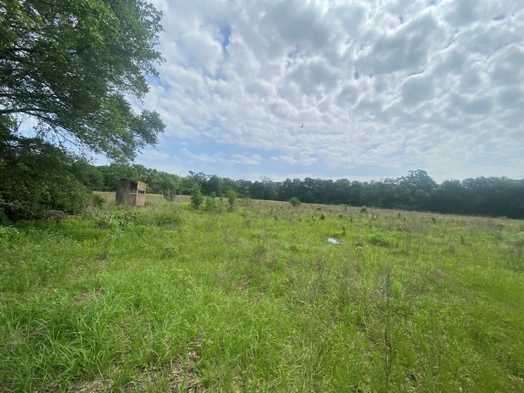 Hwy 7, Marquez, Texas image 7