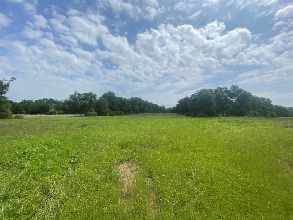 Hwy 7, Marquez, Texas image 1