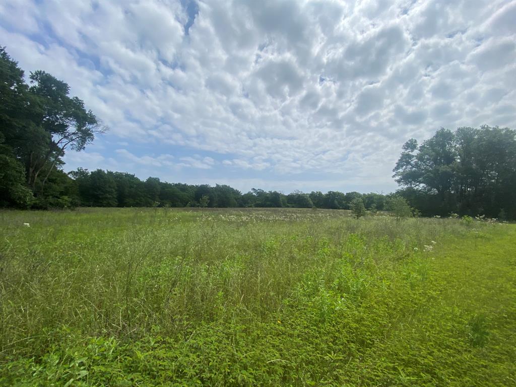 Hwy 7, Marquez, Texas image 14