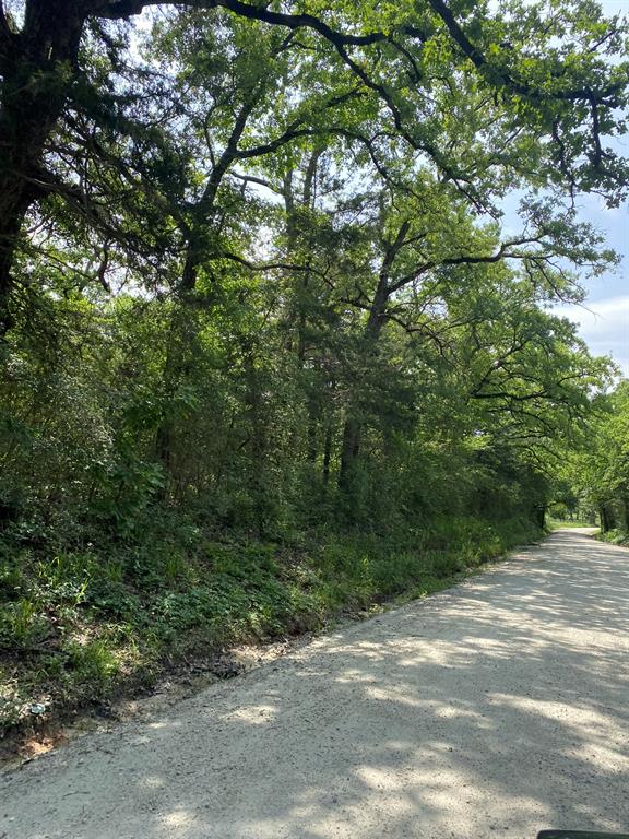 Hwy 7, Marquez, Texas image 16