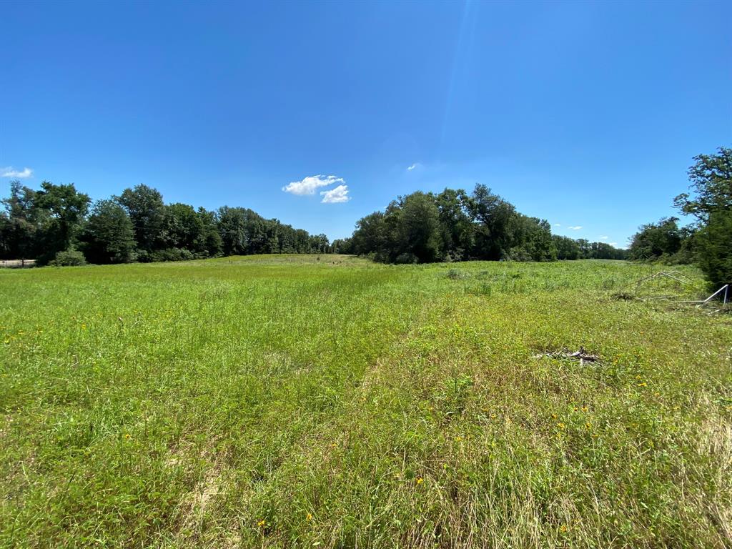 Hwy 7, Marquez, Texas image 11