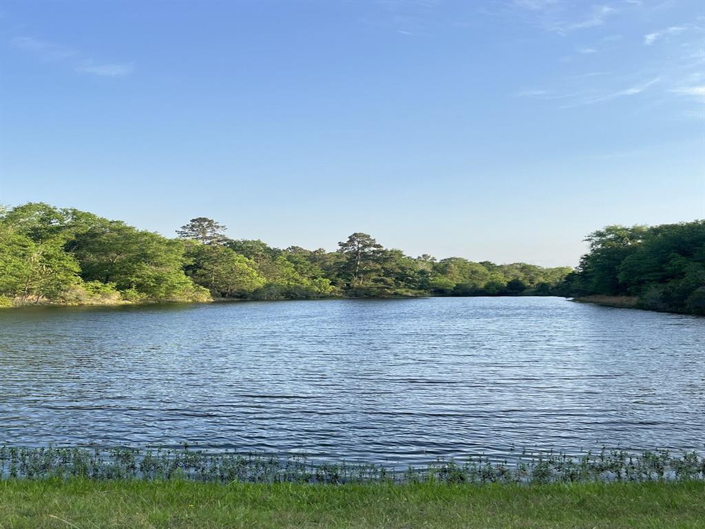 Sandpiper Lane, Hempstead, Texas image 5