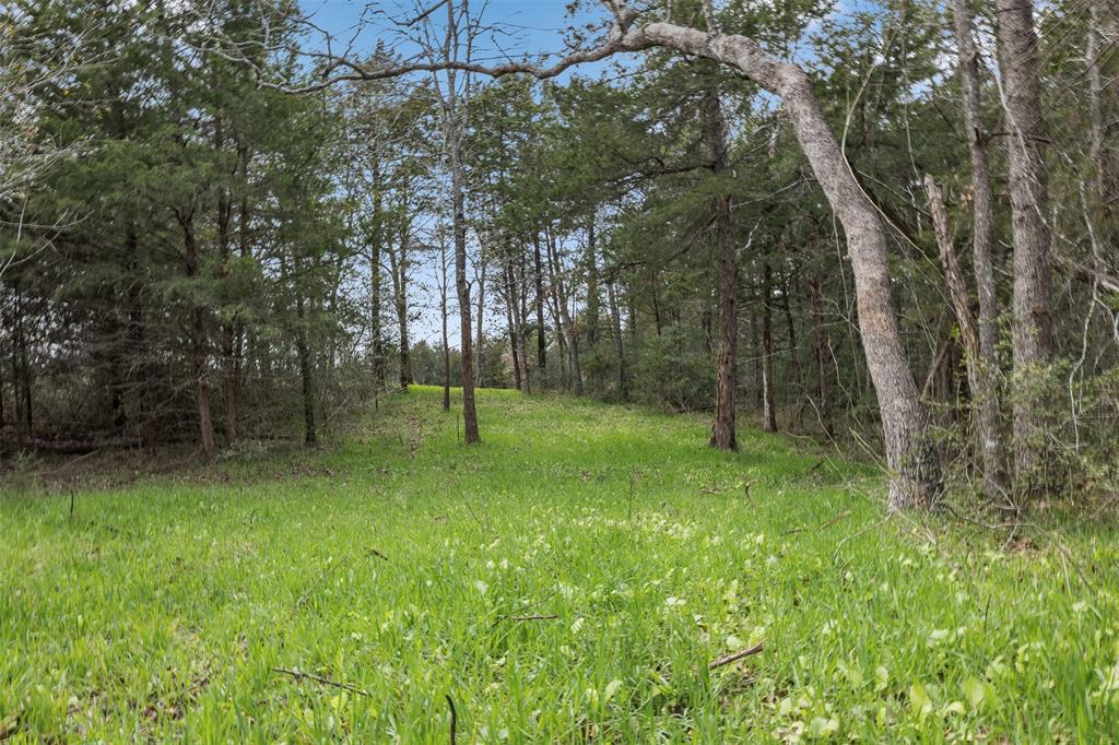 1 Timber Street, Jewett, Texas image 7