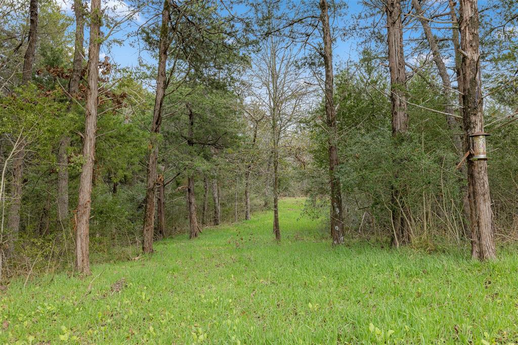 1 Timber Street, Jewett, Texas image 4