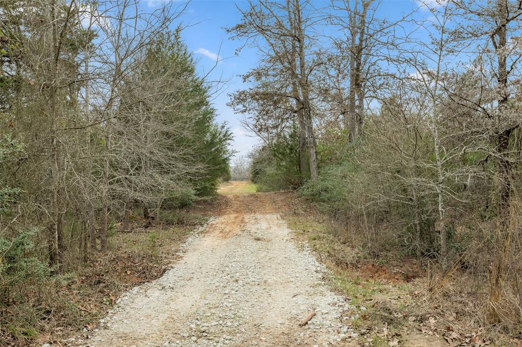 1 Timber Street, Jewett, Texas image 8