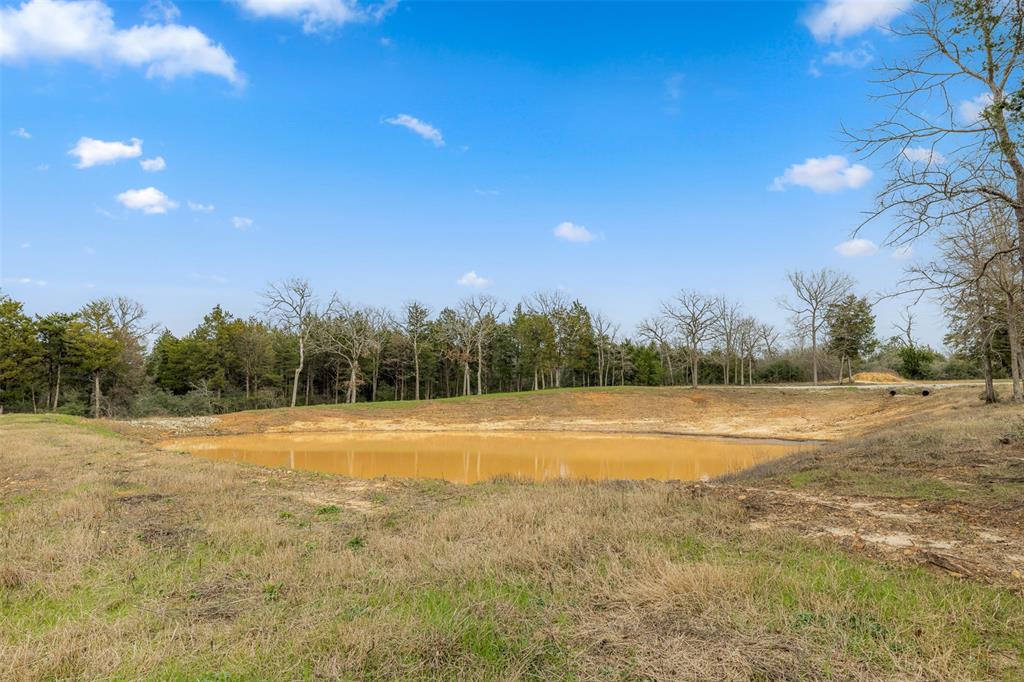 1 Timber Street, Jewett, Texas image 6