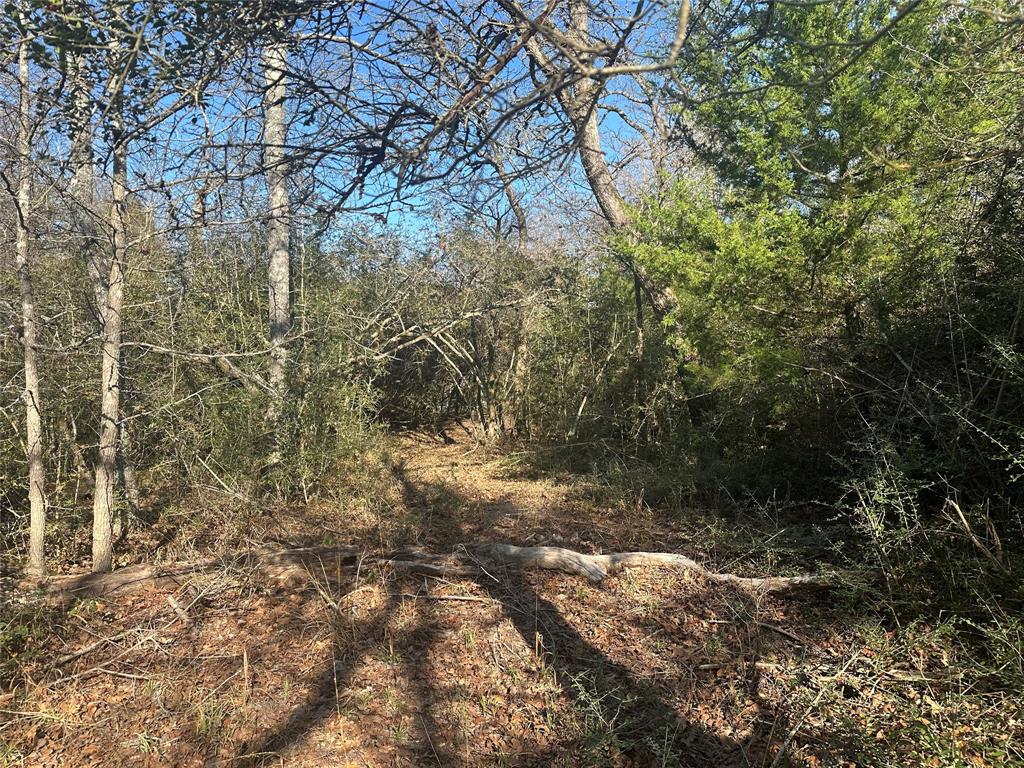 12ac Cr 219, Buffalo, Texas image 7