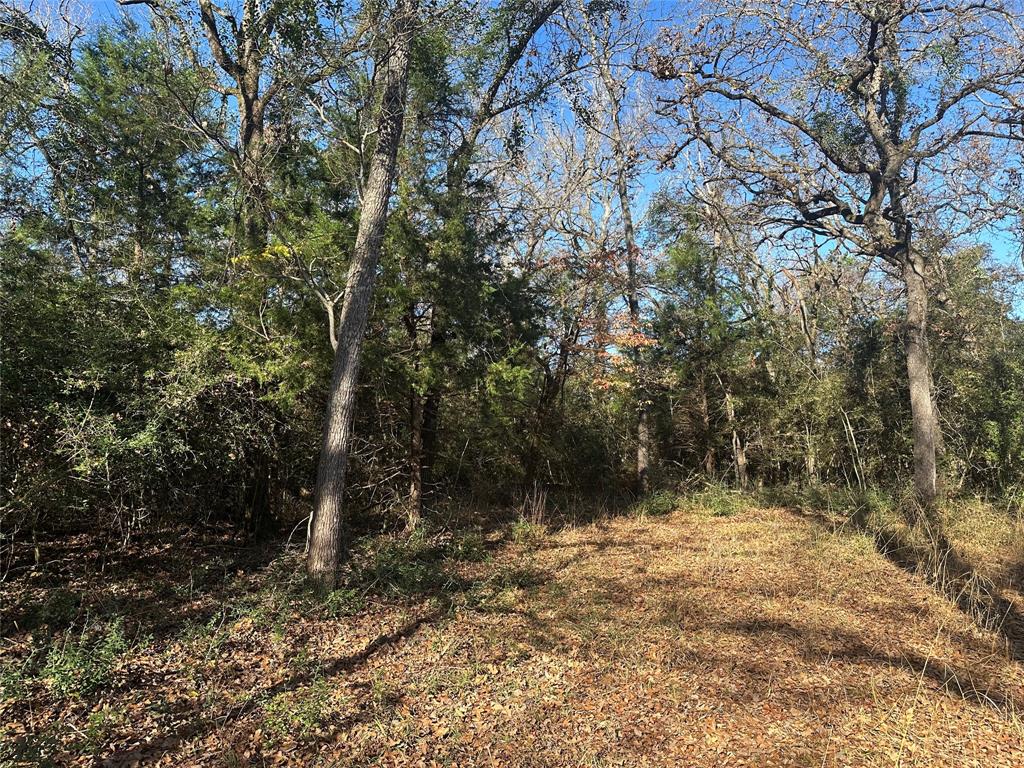 12ac Cr 219, Buffalo, Texas image 6