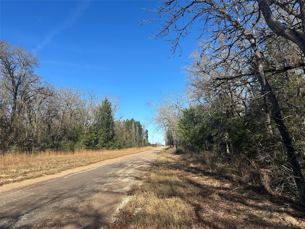 12ac Cr 219, Buffalo, Texas image 1