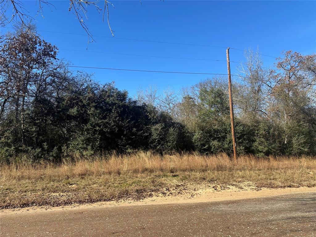 12ac Cr 219, Buffalo, Texas image 2