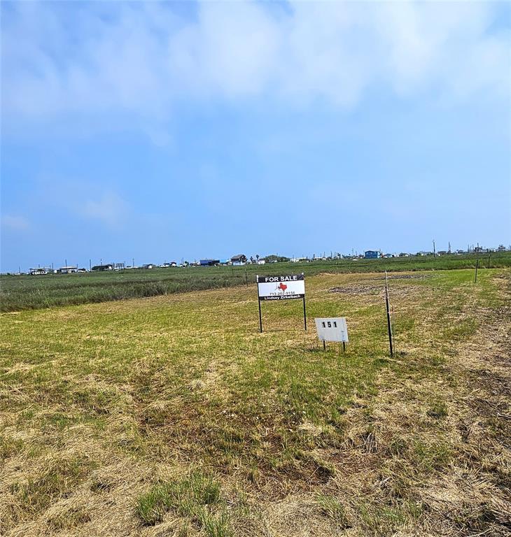507 Chuckwagon Trail, Angleton, Texas image 3