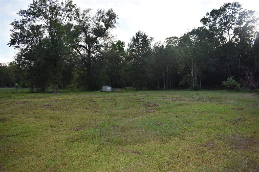 Dayton, Texas 77535, United States, ,Land,Active,137142