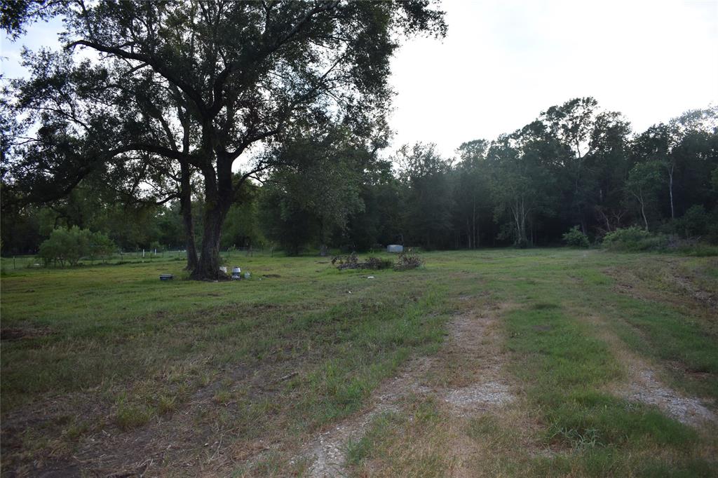 Dayton, Texas 77535, United States, ,Land,Active,137142