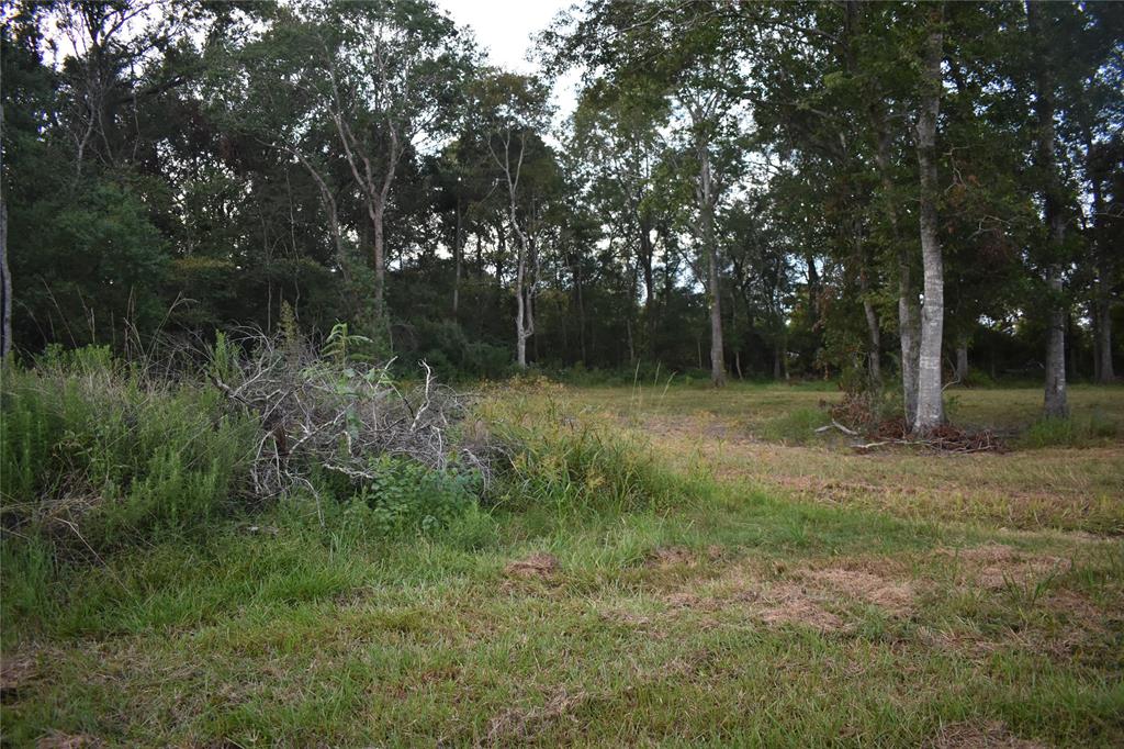 Dayton, Texas 77535, United States, ,Land,Active,137142