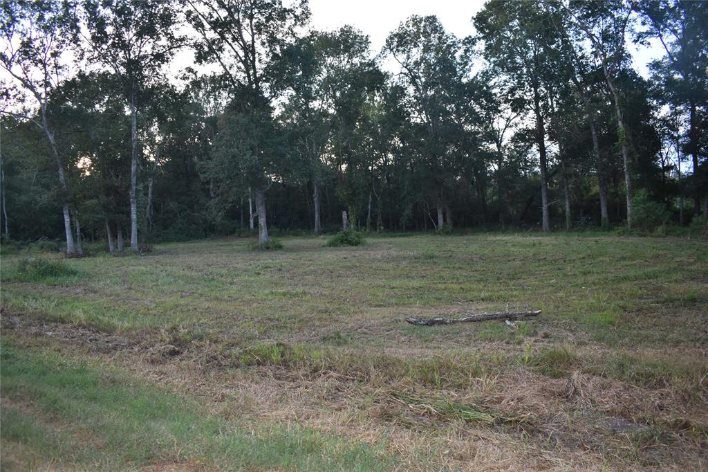 Dayton, Texas 77535, United States, ,Land,Active,137142