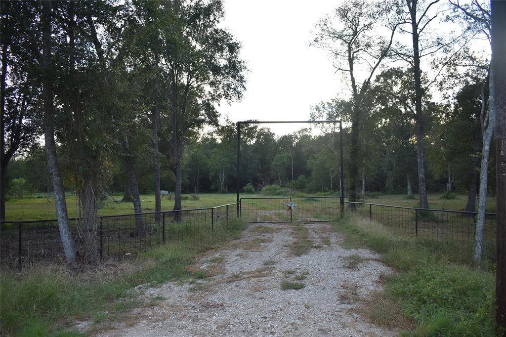 Dayton, Texas 77535, United States, ,Land,Active,137142