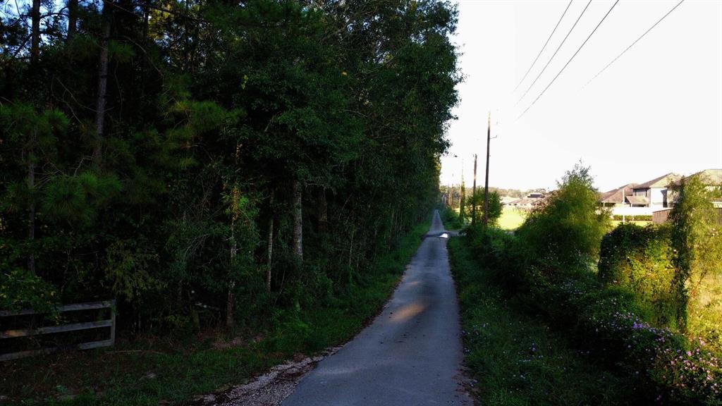 Connor Reinhardt Road, New Caney, Texas image 7