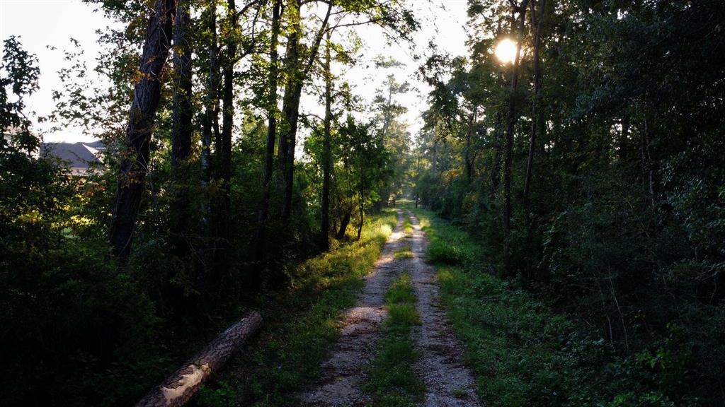 Connor Reinhardt Road, New Caney, Texas image 9