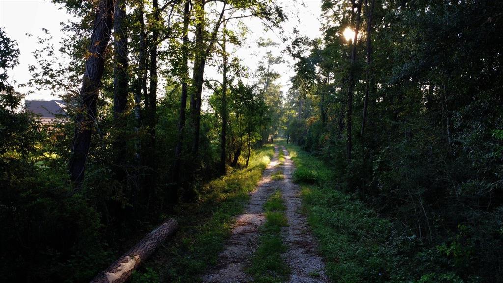 Connor Reinhardt Road, New Caney, Texas image 8