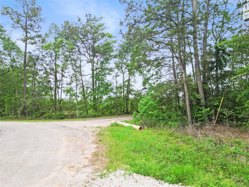 19399 Hwy 105, Cleveland, Texas image 14