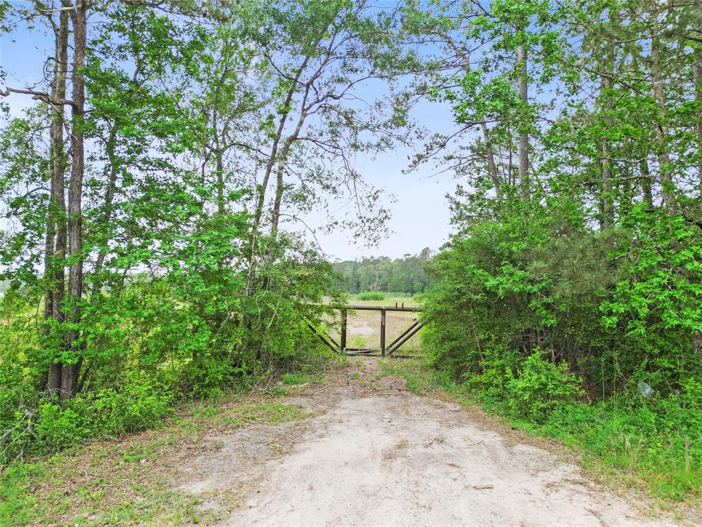 19399 Hwy 105, Cleveland, Texas image 13