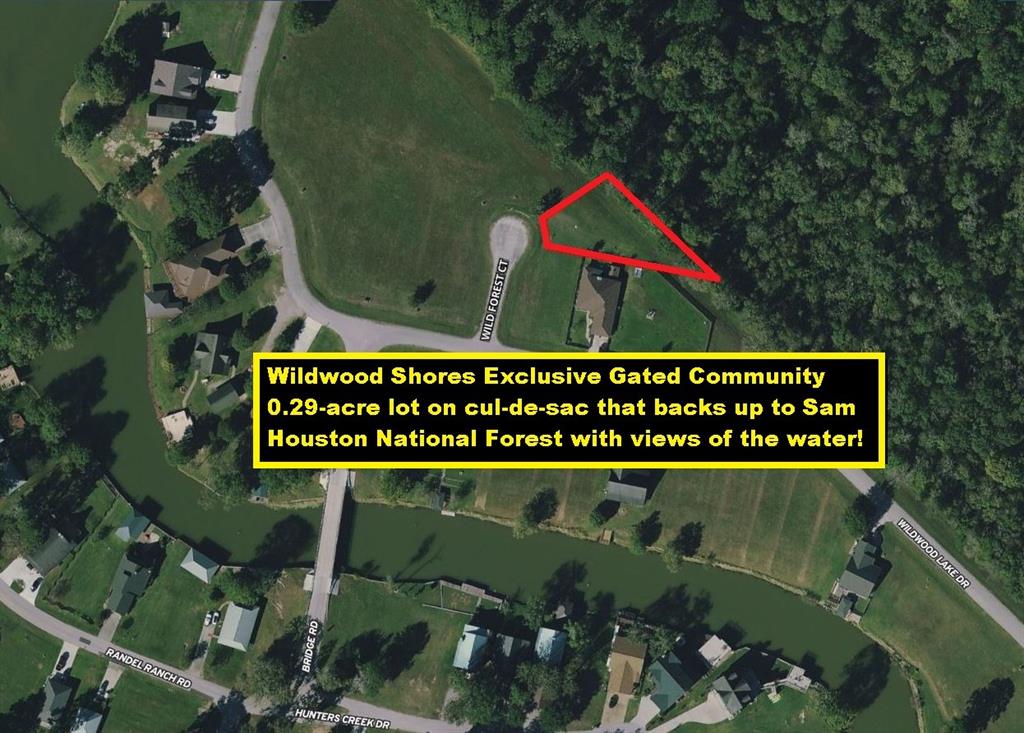 4 Wild Forest Court, Huntsville, Texas image 1