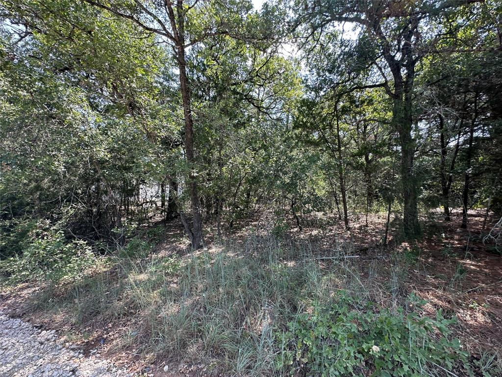 31865 Fm 1485 Road, New Caney, Texas image 6