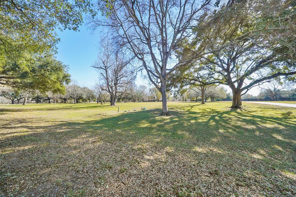 11211 Windswept Way, Willis, Texas image 8