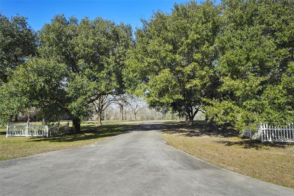 11211 Windswept Way, Willis, Texas image 5