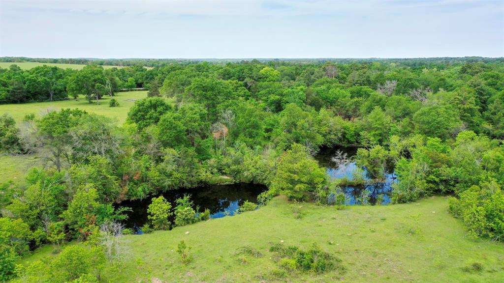 TBD Hwy 39, Flynn, Texas image 26