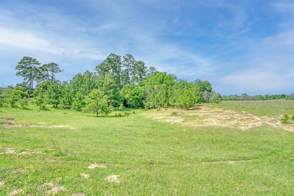 TBD Hwy 39, Flynn, Texas image 6