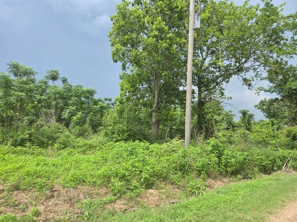 0017 Gordon Side Road