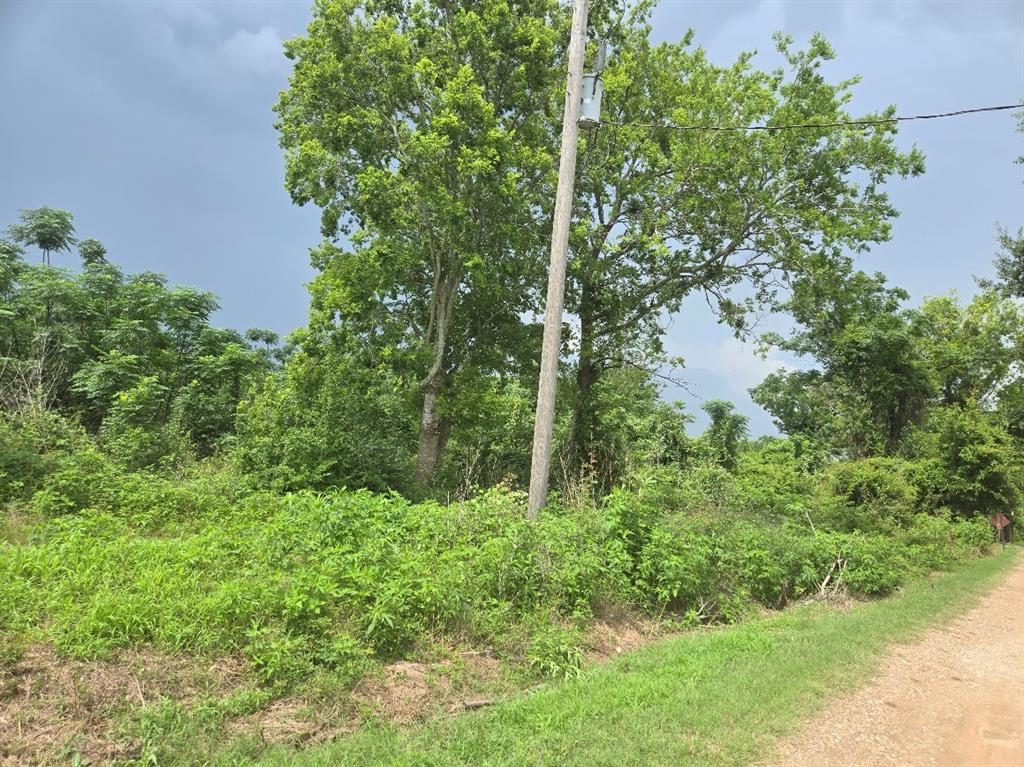 0017 Gordon Side Road