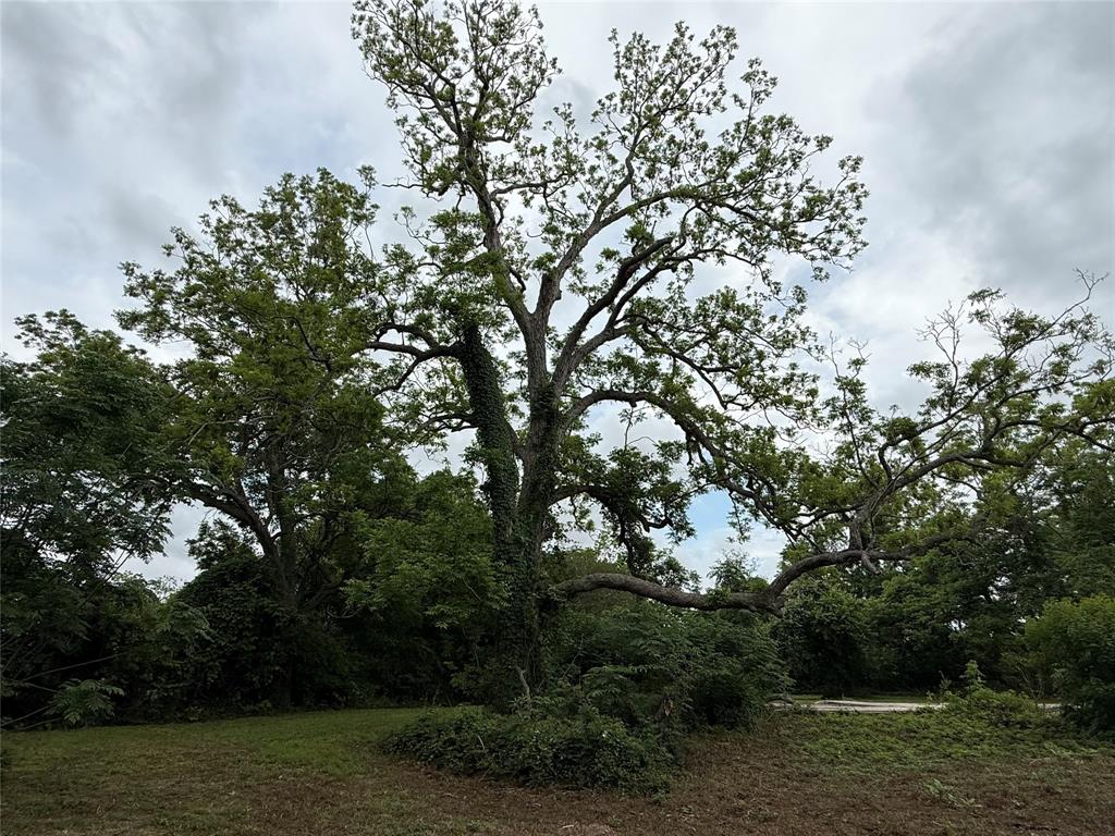 137 Fm 359 Road, Richmond, Texas image 16