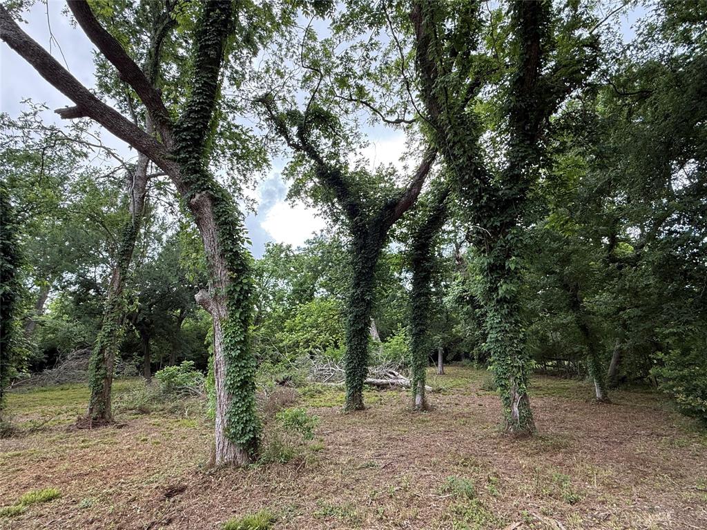 137 Fm 359 Road, Richmond, Texas image 15