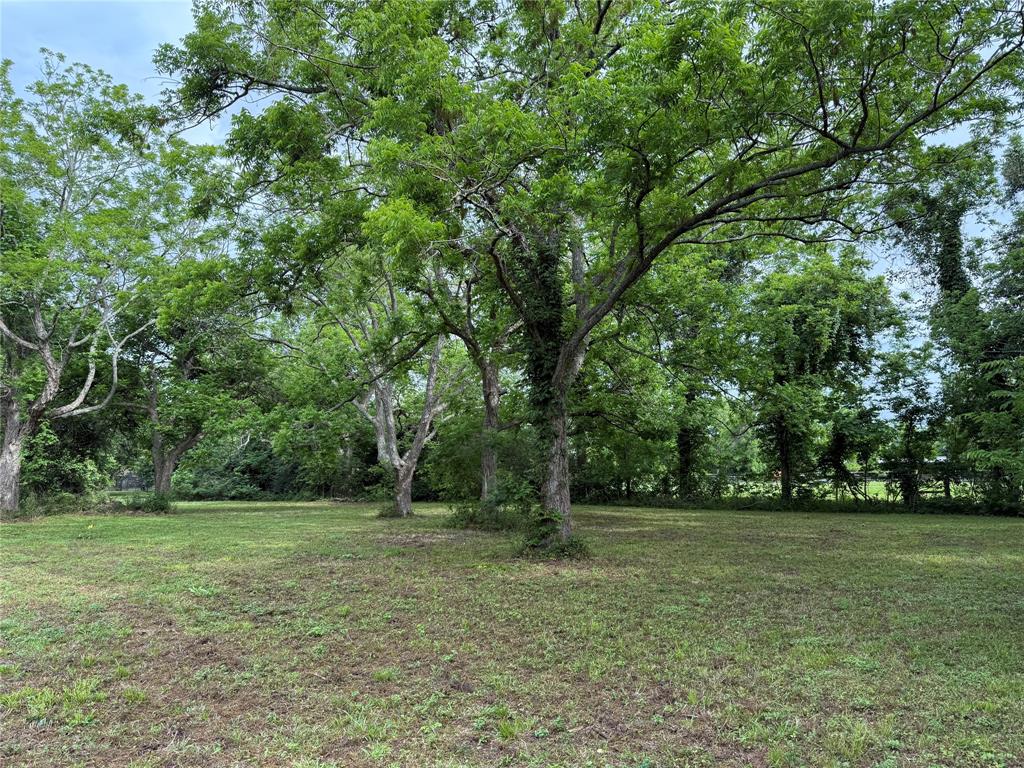 137 Fm 359 Road, Richmond, Texas image 4