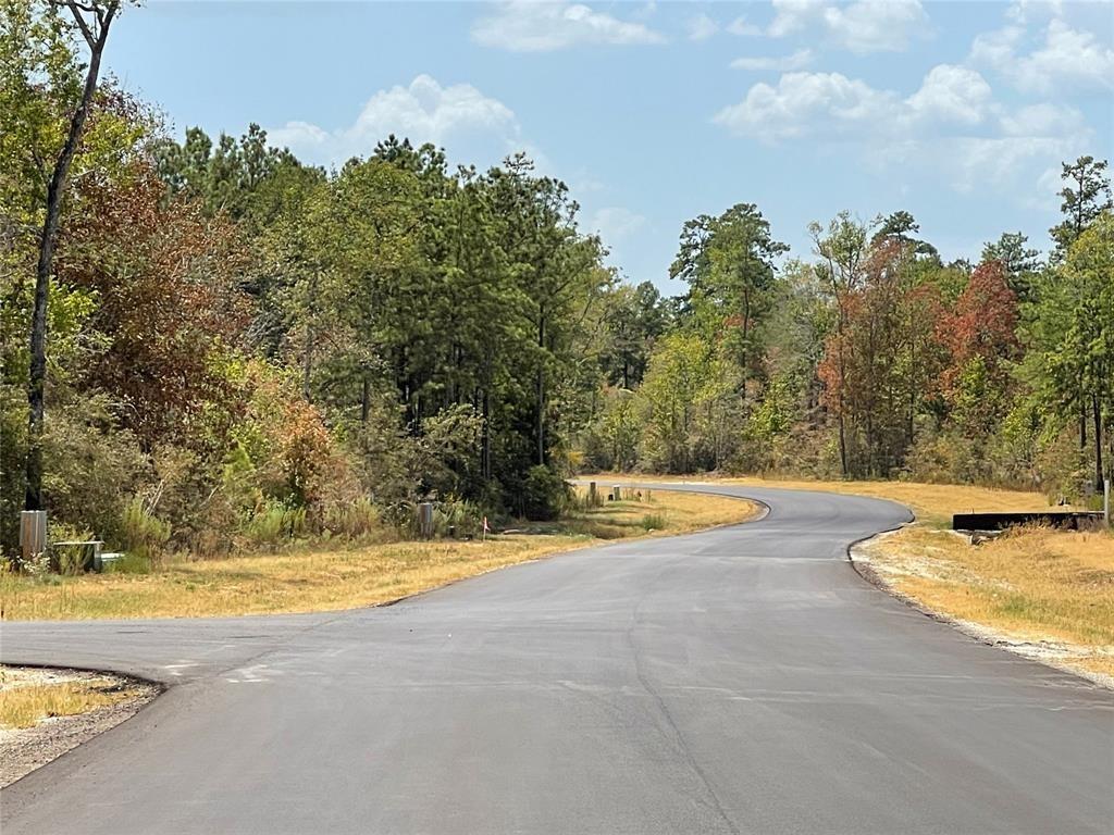 122 Signal Road, New Waverly, Texas image 5