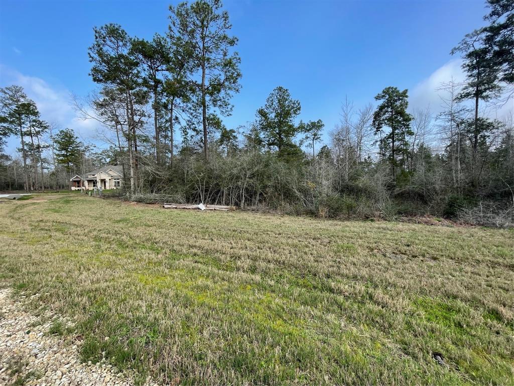 122 Signal Road, New Waverly, Texas image 1