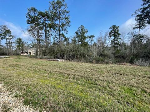 Photo of 122 Signal Road, New Waverly, TX 77358 (MLS # 73369941)