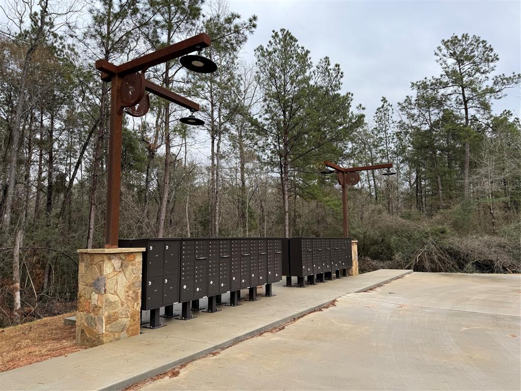 122 Signal Road, New Waverly, Texas image 7