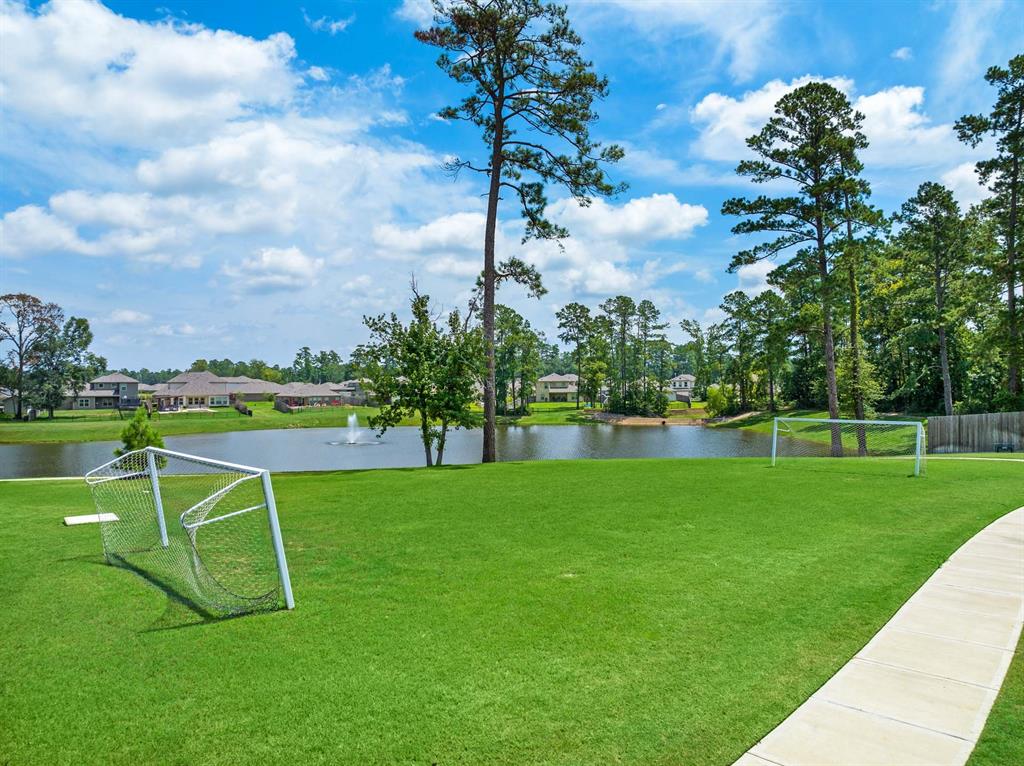 8415 Sweet Cherry Lane, Magnolia, Texas image 10