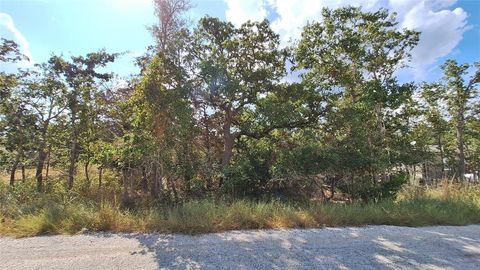 Photo of 406 Choctaw Crest, Somerville, TX 77879 (MLS # 51911005) Photo of 406 Choctaw Crest, Somerville, TX 77879 (MLS # 51911005)