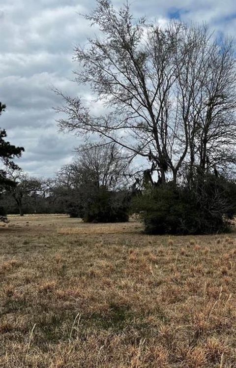 Photo of 313 Dawns Edge, Trinity, TX 75862 (MLS # 23039319)