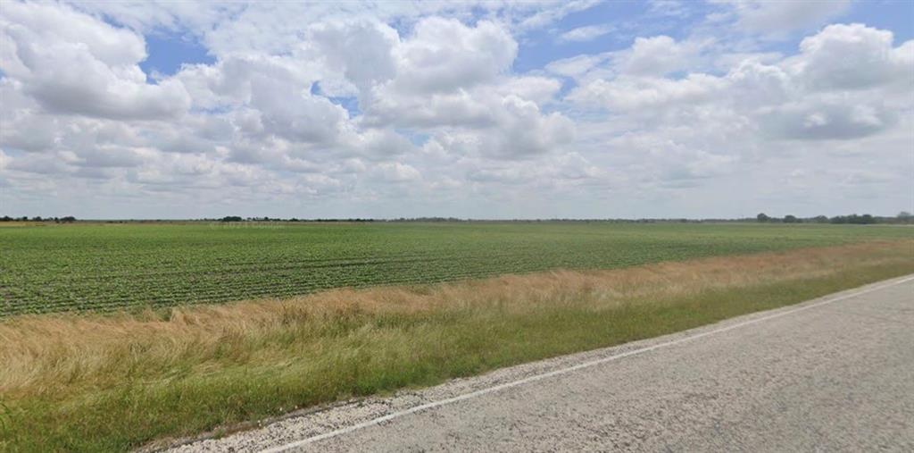 Tract 4 Fm 530, Hallettsville, Texas image 1