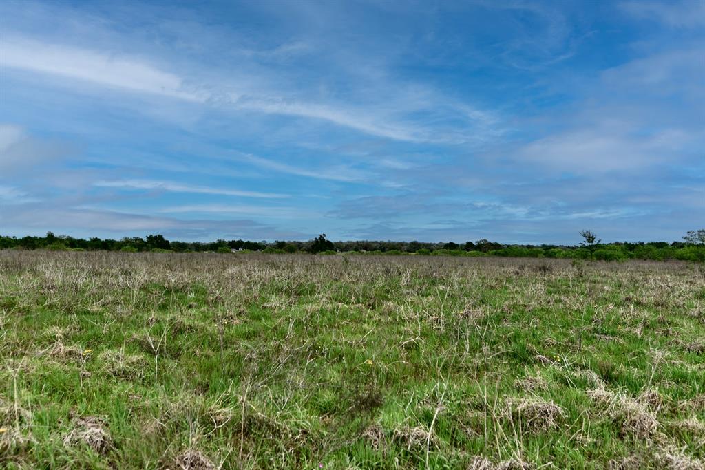 3490 County Road 328, Caldwell, Texas image 42