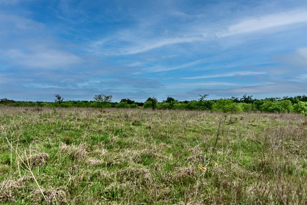 3490 County Road 328, Caldwell, Texas image 43