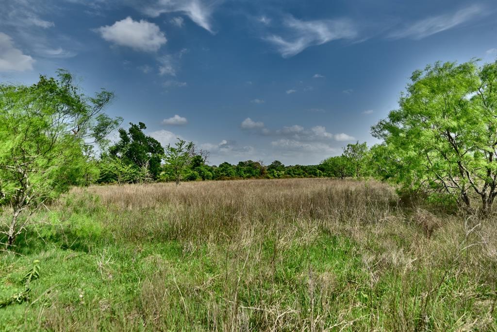 3490 County Road 328, Caldwell, Texas image 47